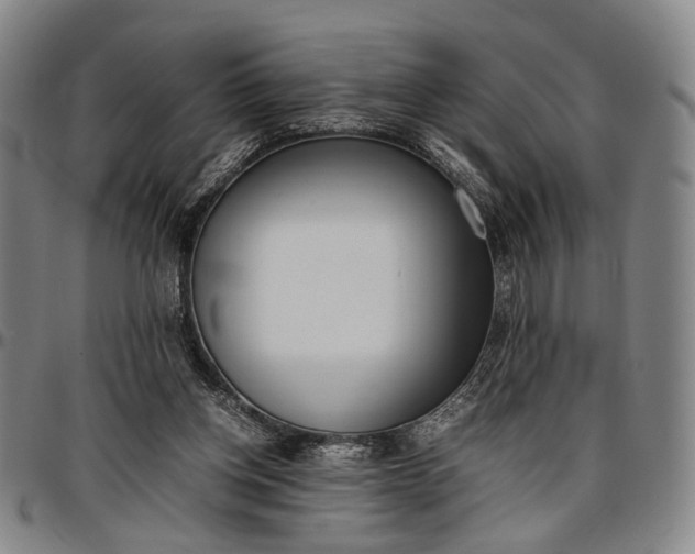 X0000096670158200802191337