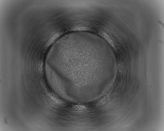 X0000096670159200802191337