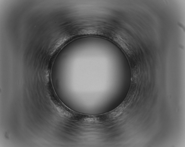 X0000096670160200802191337