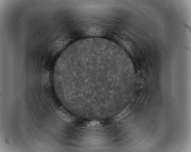 X0000096670162200802191337