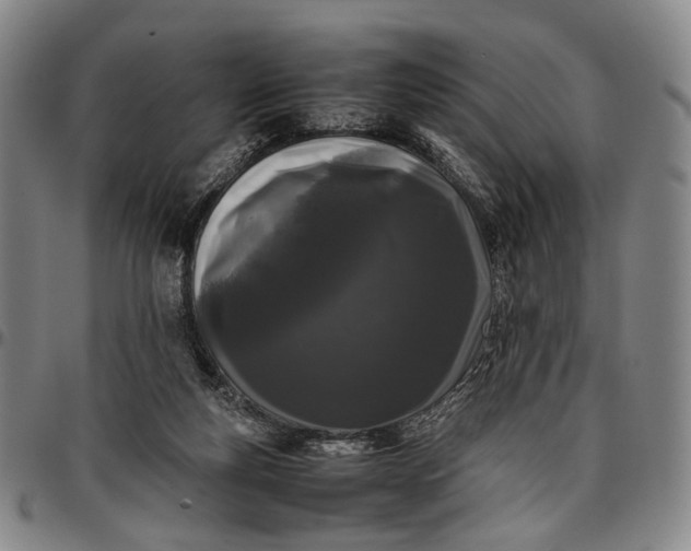 X0000096670163200802191337