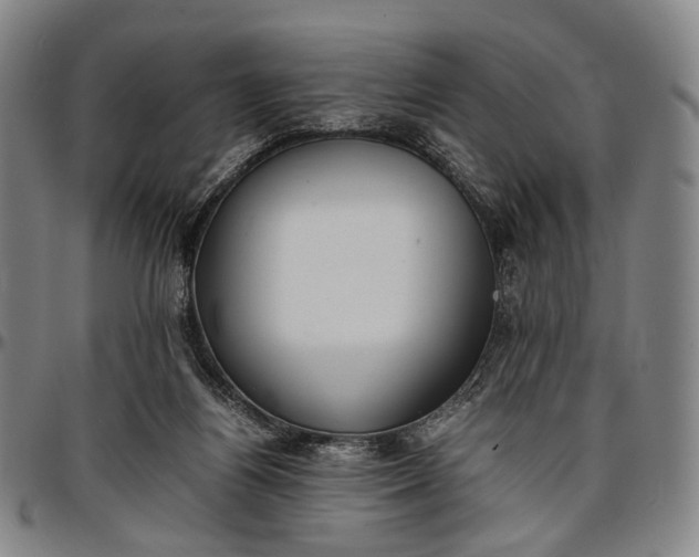 X0000096670164200802191337