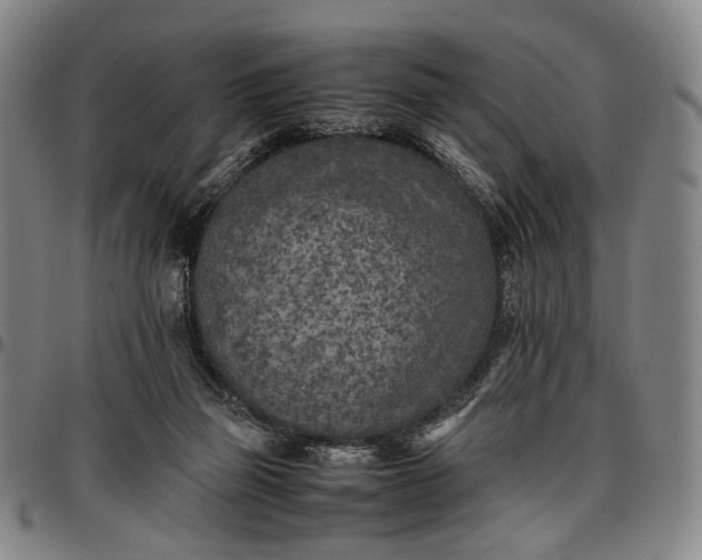 X0000096670165200802191337