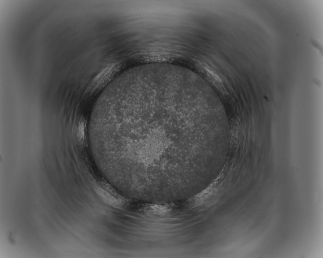 X0000096670166200802191337