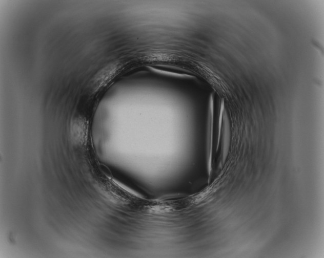 X0000096670168200802191337
