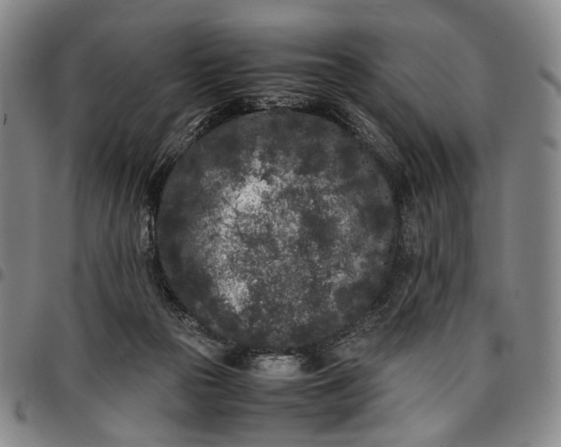 X0000096670169200802191337