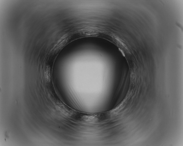 X0000096670170200802191337