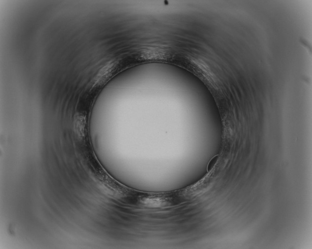 X0000096670171200802191337