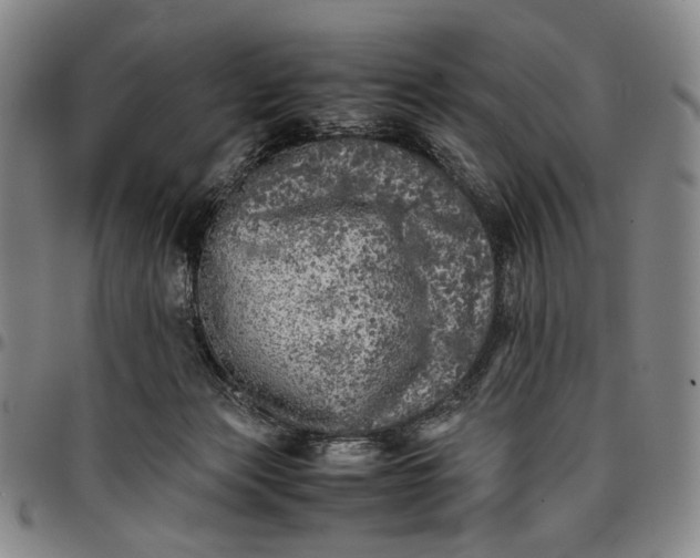 X0000096670173200802191337
