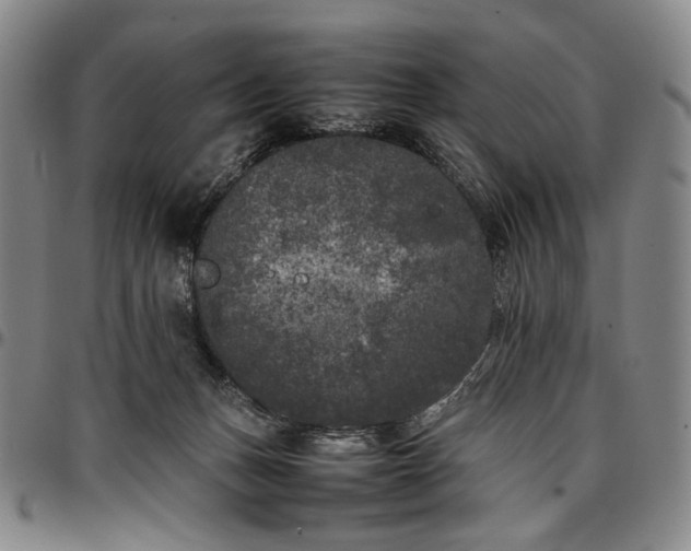 X0000096670175200802191337