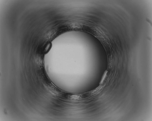 X0000096670176200802191338