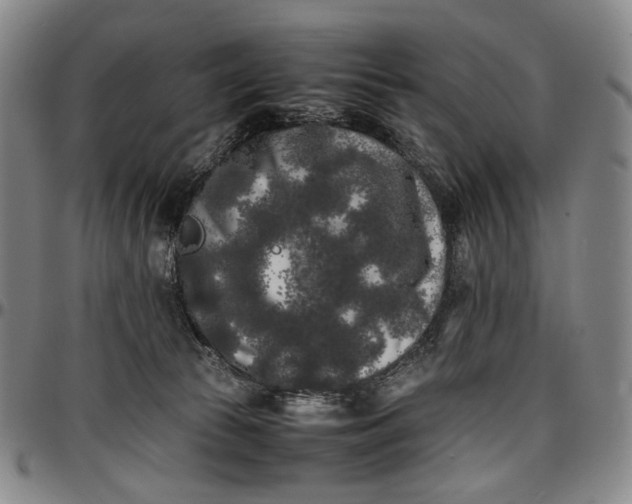 X0000096670177200802191338