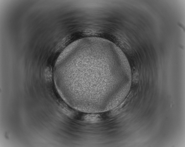 X0000096670179200802191338
