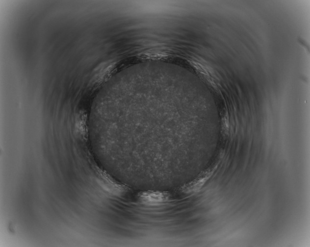 X0000096670181200802191338