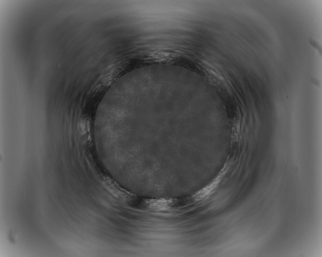 X0000096670182200802191338