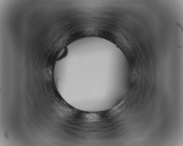 X0000096670183200802191338