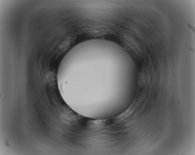 X0000096670184200802191338