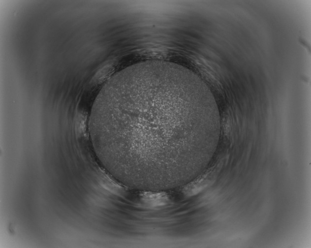 X0000096670185200802191338