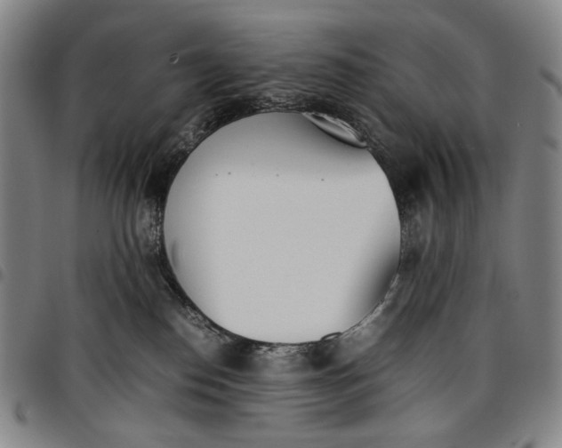 X0000096670186200802191338