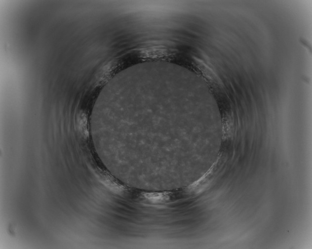 X0000096670187200802191338