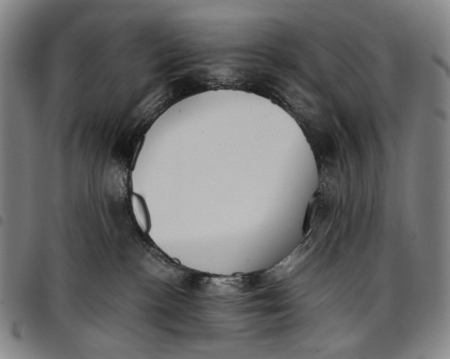 X0000096670188200802191338