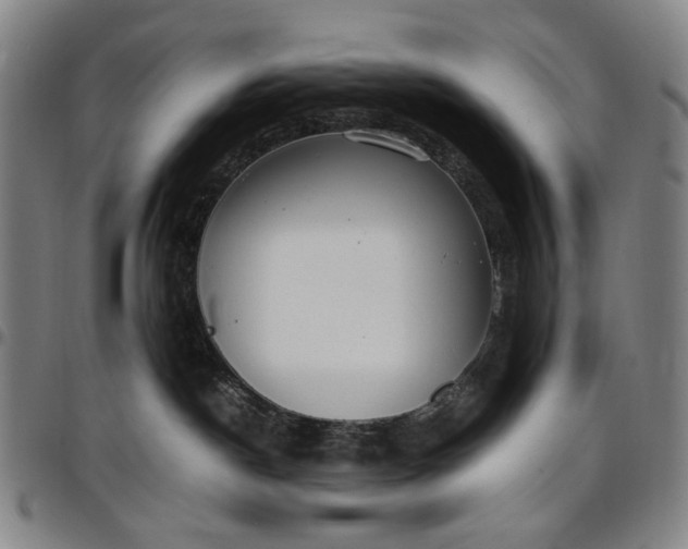 X0000096670190200802191338