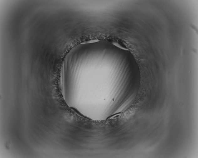 X0000096670192200802191338