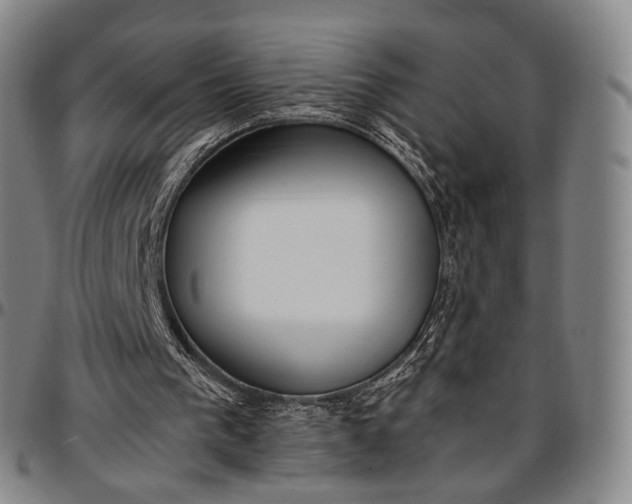 X0000096670193200802191337