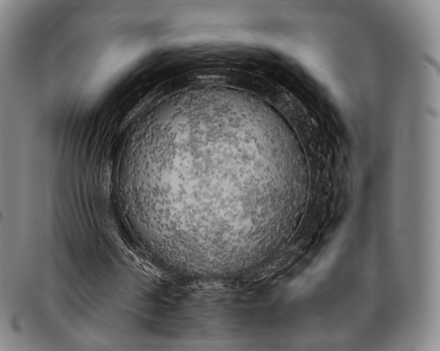 X0000096670194200802191337