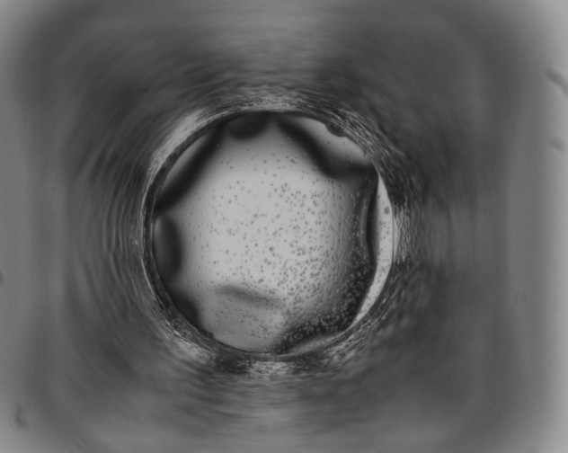 X0000096670195200802191337