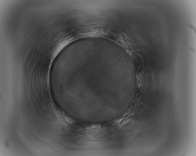 X0000096670196200802191337