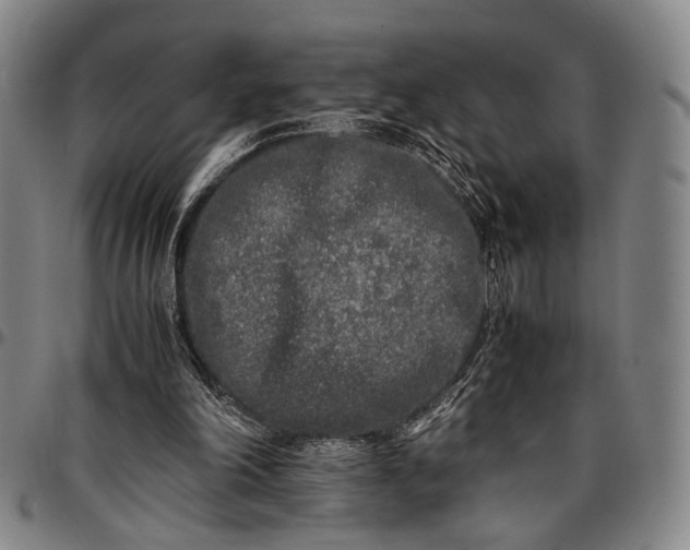 X0000096670198200802191337