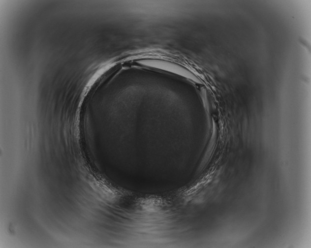 X0000096670200200802191337