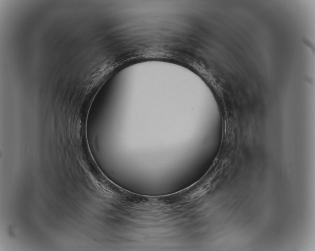 X0000096670201200802191337