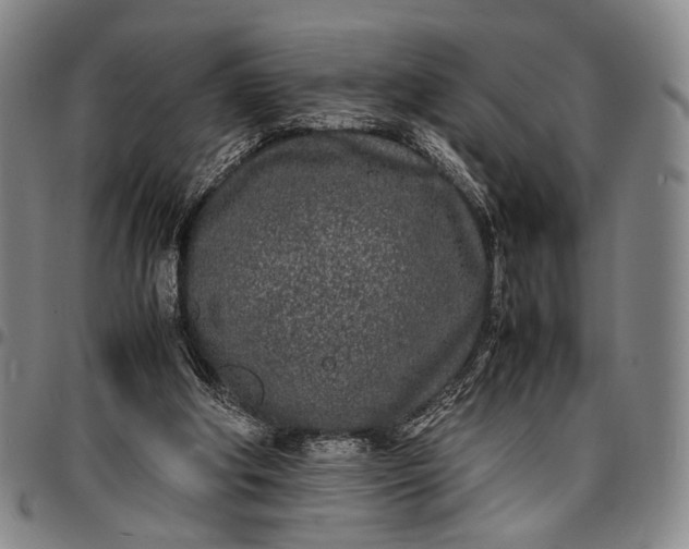 X0000096670202200802191337