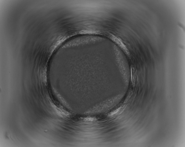 X0000096670204200802191337