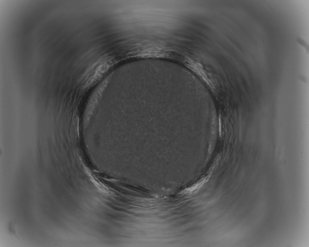 X0000096670205200802191337