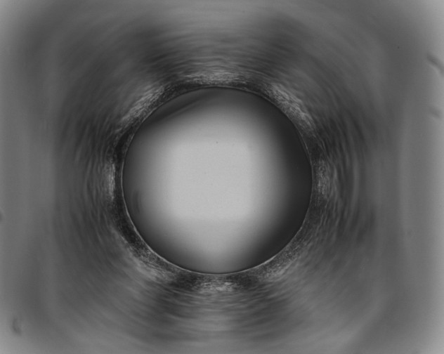 X0000096670206200802191337