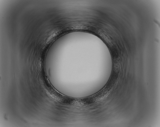 X0000096670207200802191337