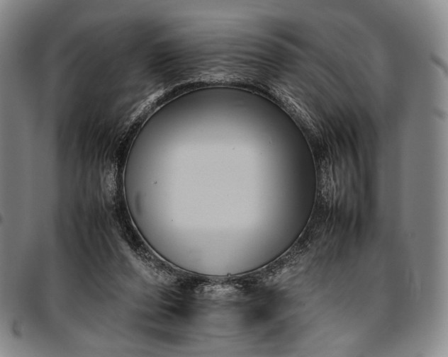 X0000096670208200802191337