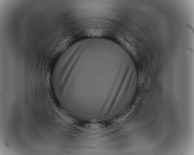 X0000096670209200802191337