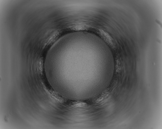 X0000096670210200802191337