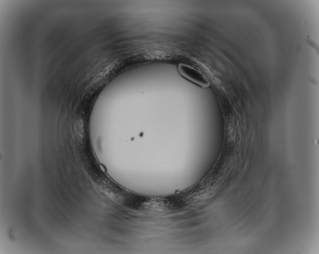 X0000096670211200802191337