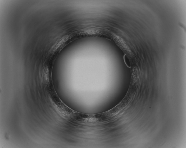 X0000096670212200802191337