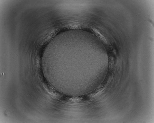 X0000096670213200802191337