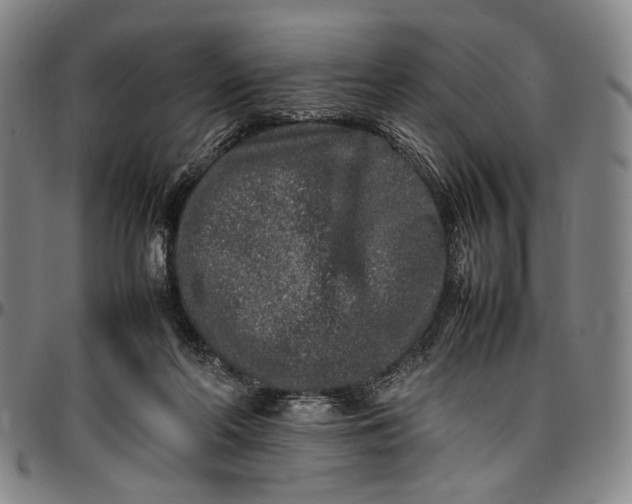 X0000096670214200802191337