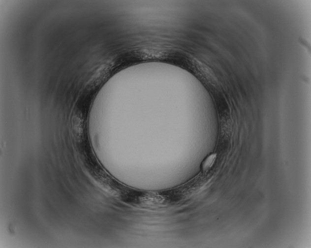 X0000096670215200802191337