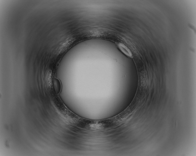 X0000096670216200802191337
