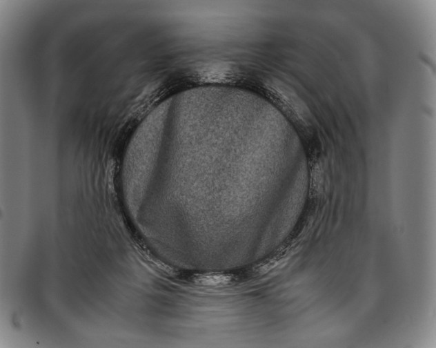X0000096670217200802191337
