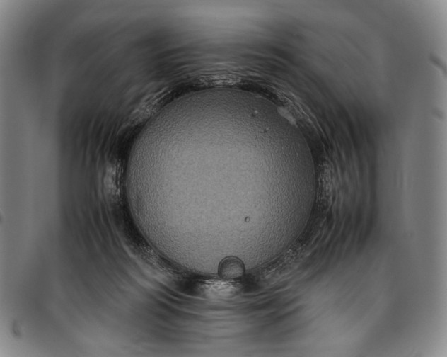 X0000096670218200802191337